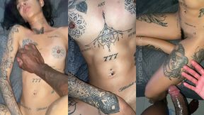 na madruga cu de gata nao tem dono